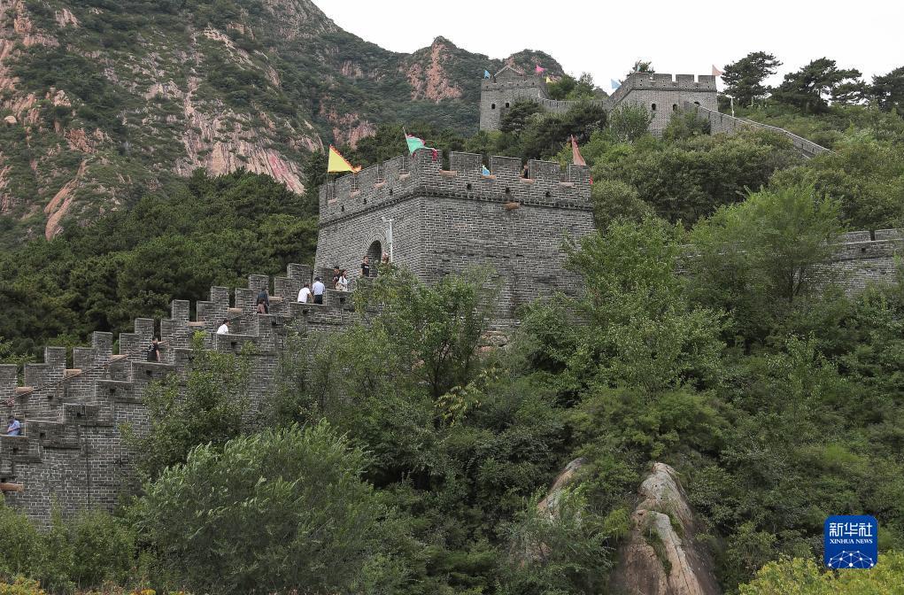 捕鱼大师无限金币